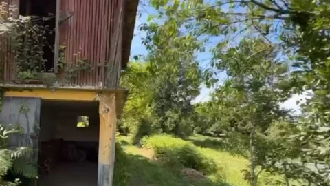 Terreno para Venda em Grijó e Sermonde