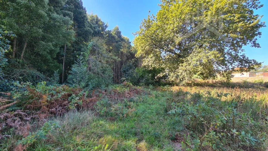 Terreno para Venda em Grijó e Sermonde Foto 16