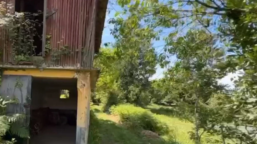 Terreno para Venda em Grijó e Sermonde Foto 19