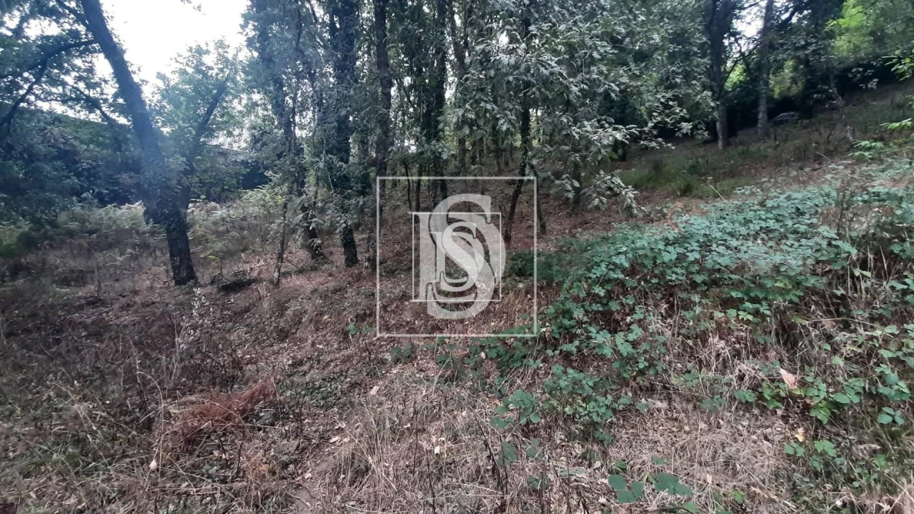 Moradia T3 para Venda em Vila Pouca de Aguiar Foto 12