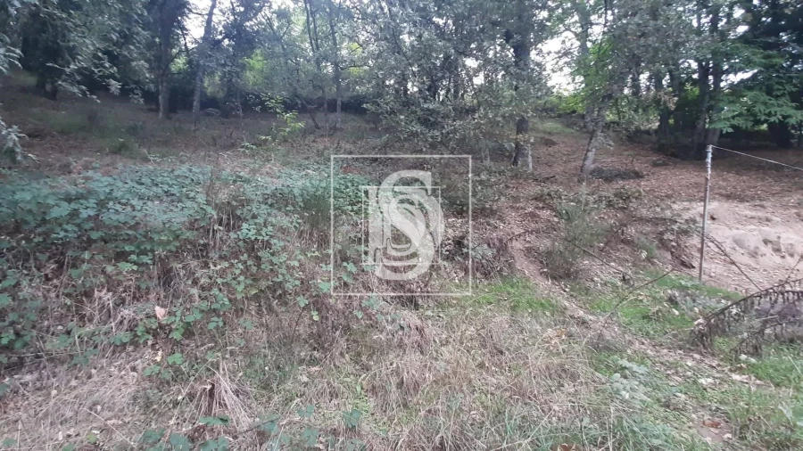 Moradia T3 para Venda em Vila Pouca de Aguiar Foto 16