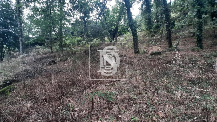 Moradia T3 para Venda em Vila Pouca de Aguiar Foto 18