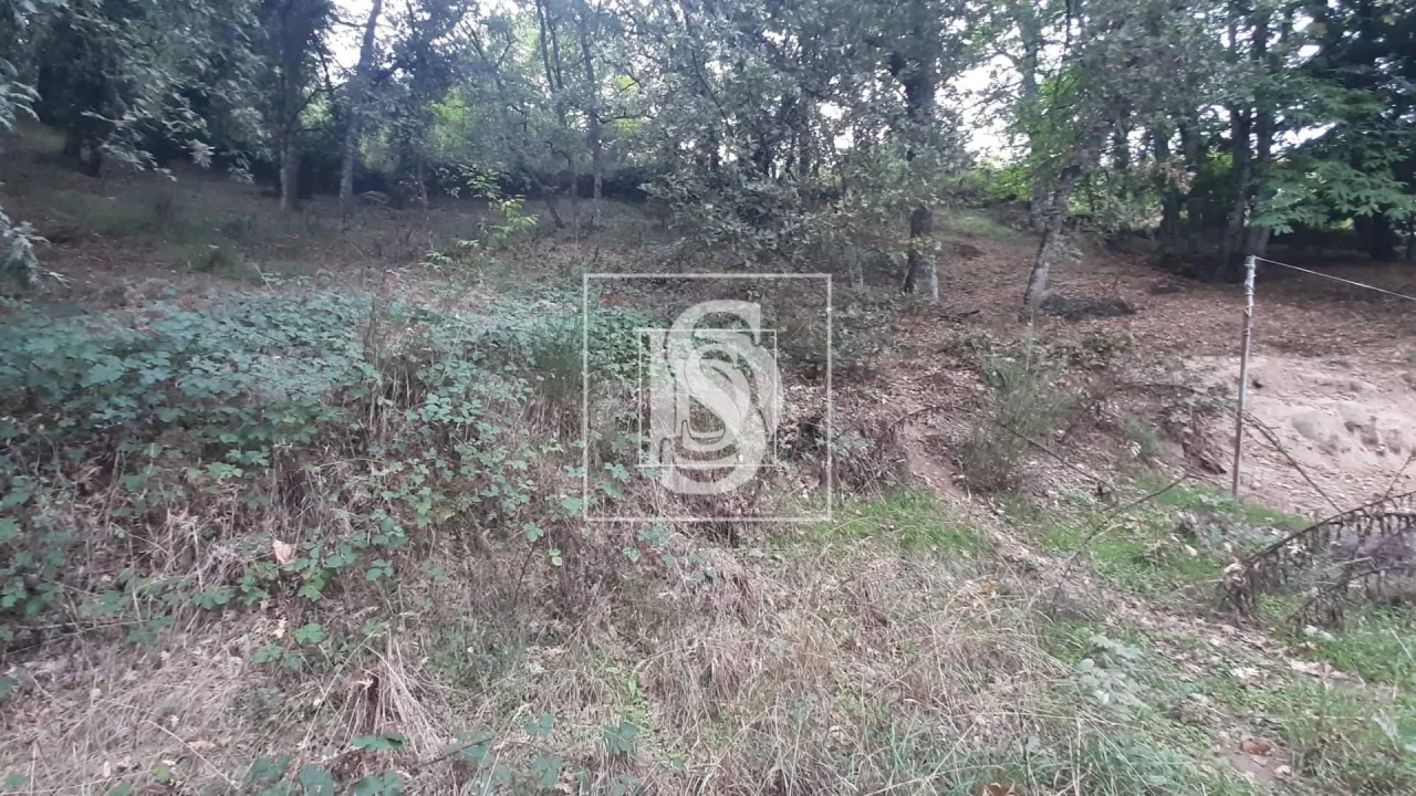 Moradia T3 para Venda em Vila Pouca de Aguiar Foto 16