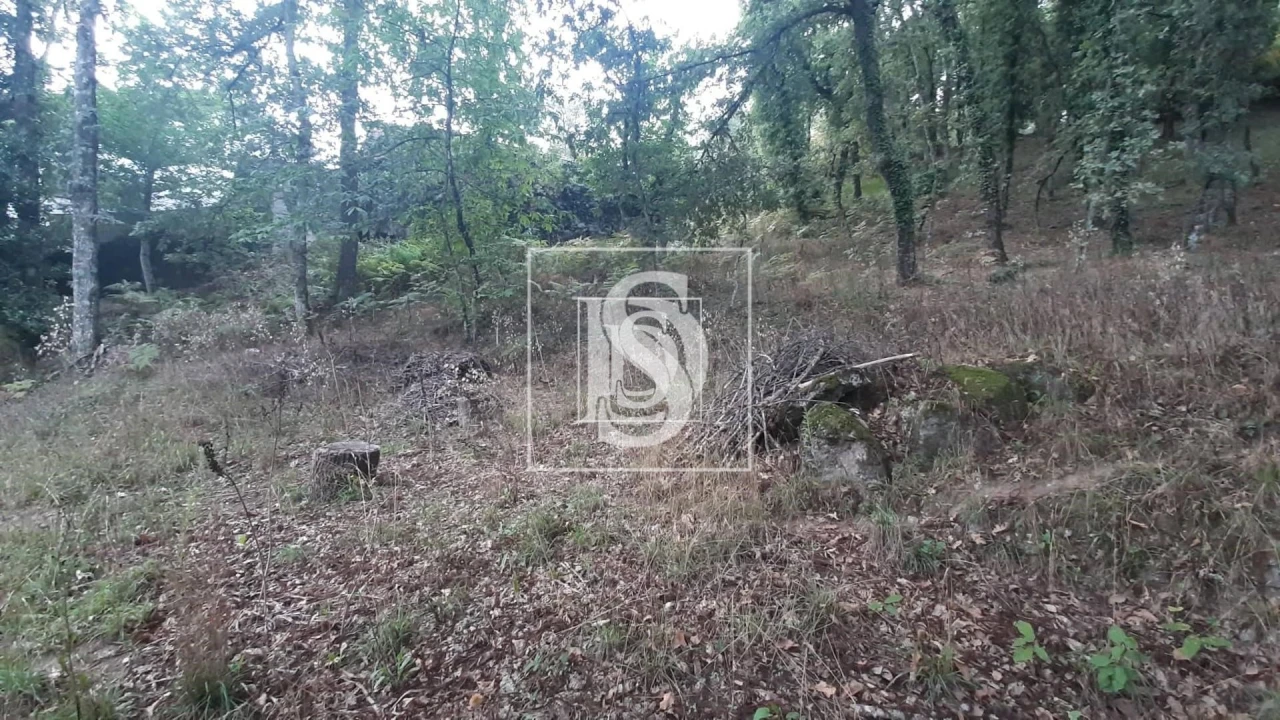 Moradia T3 para Venda em Vila Pouca de Aguiar Foto 11