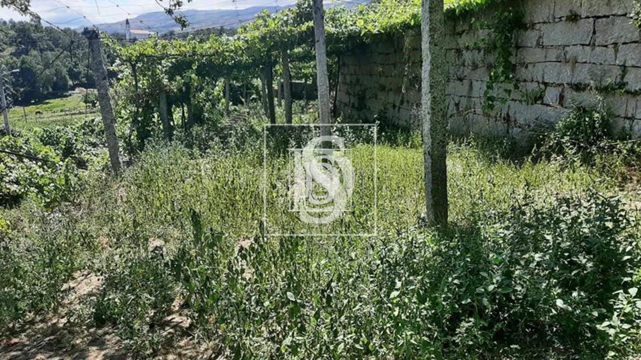 Quinta T3 para Venda em Telões Foto 32