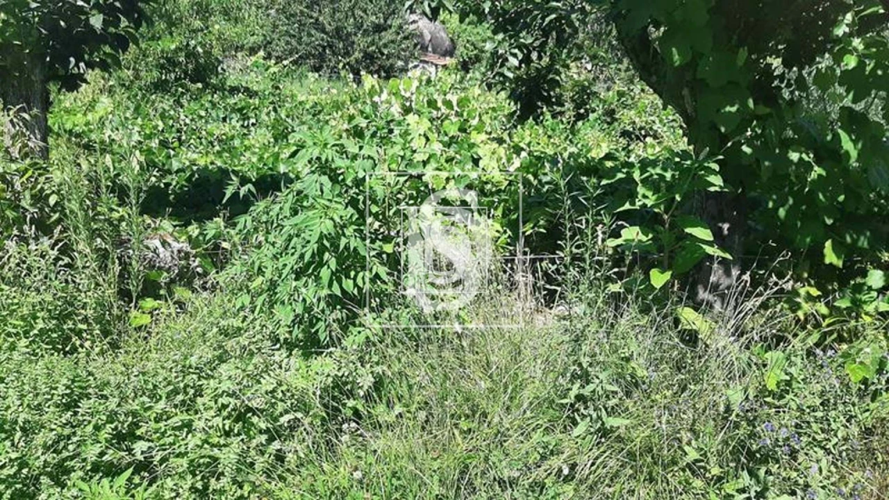 Quinta T3 para Venda em Telões Foto 29