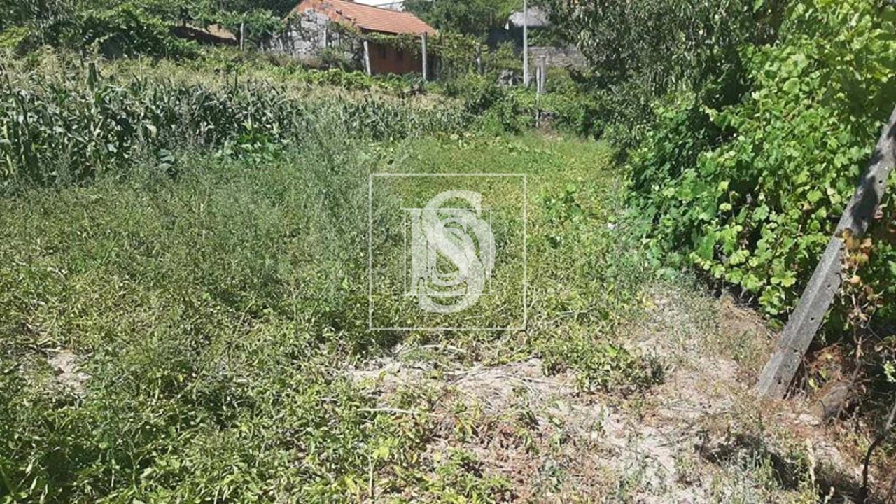 Quinta T3 para Venda em Telões Foto 9