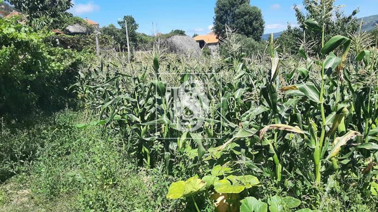 Quinta T3 para Venda em Telões Foto 4