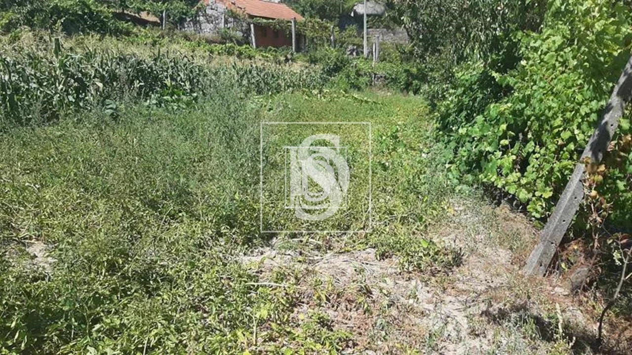 Quinta T3 para Venda em Telões Foto 31