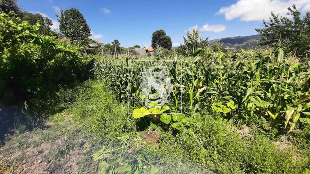 Quinta T3 para Venda em Telões Foto 15