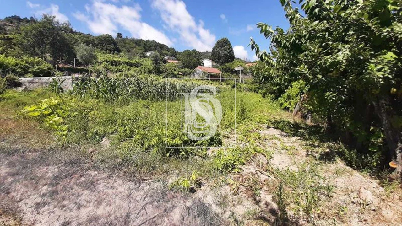 Quinta T3 para Venda em Telões Foto 17