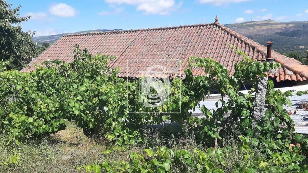 Quinta T3 para Venda em Telões Foto 19