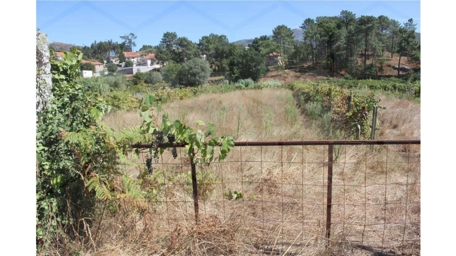 Terreno para Venda em Faro (Sé e São Pedro) Foto 6