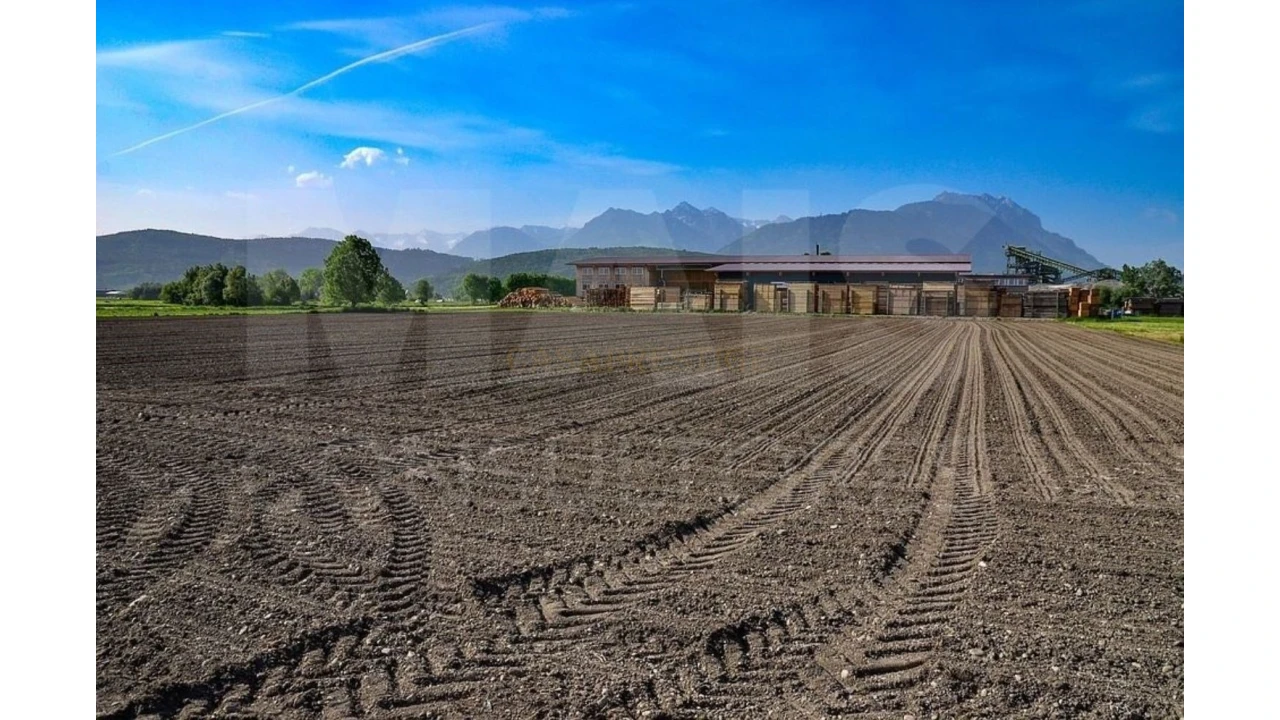 Terreno para Venda em Faro (Sé e São Pedro) Foto 7