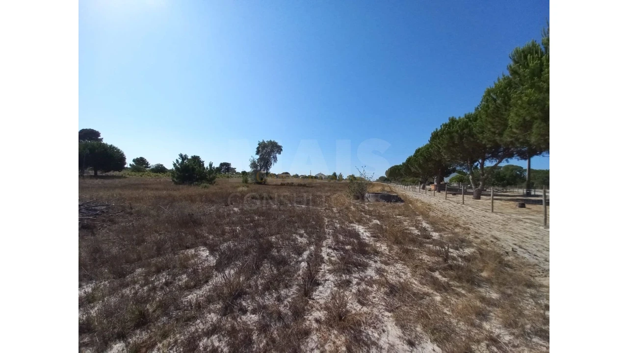 Terreno para Venda em Melides Foto 10