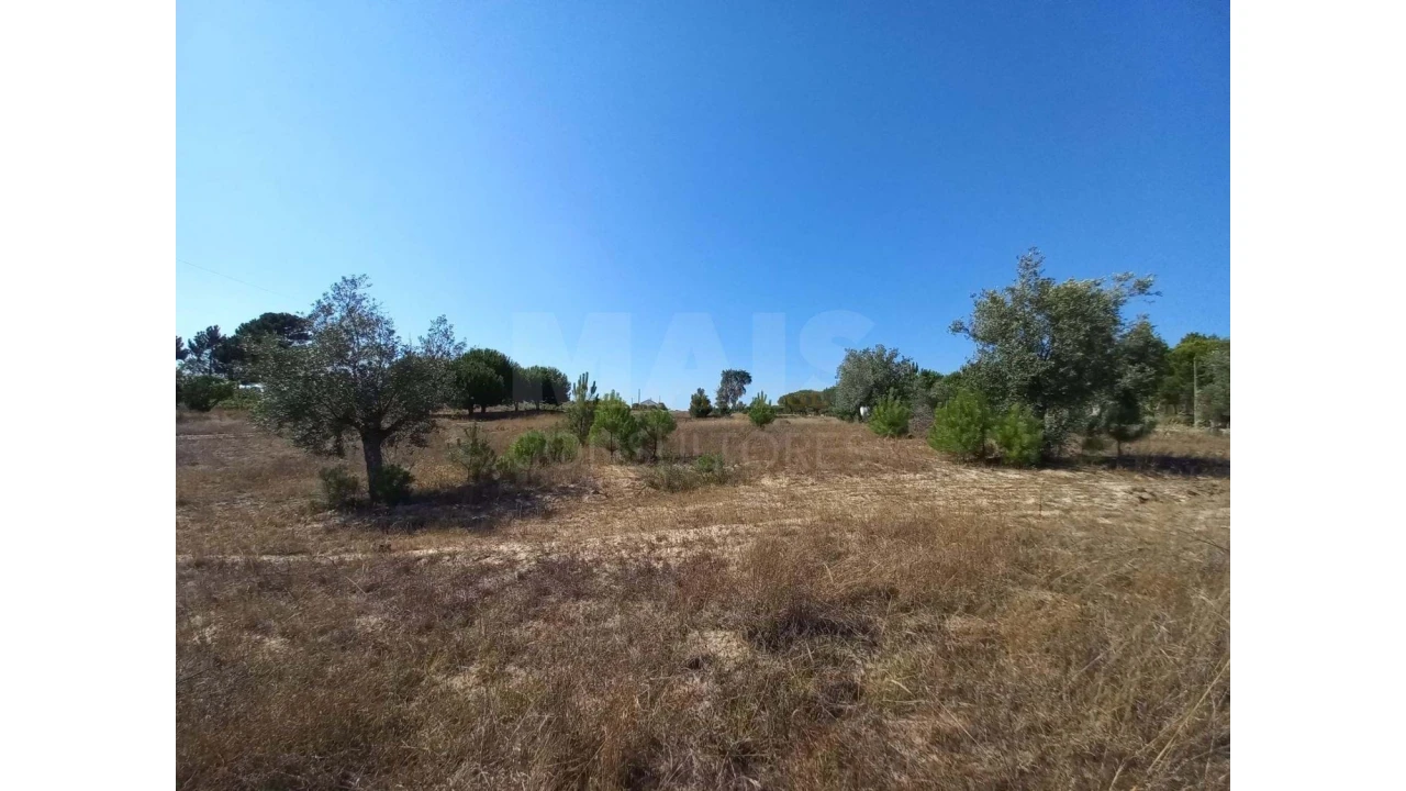 Terreno para Venda em Melides Foto 7