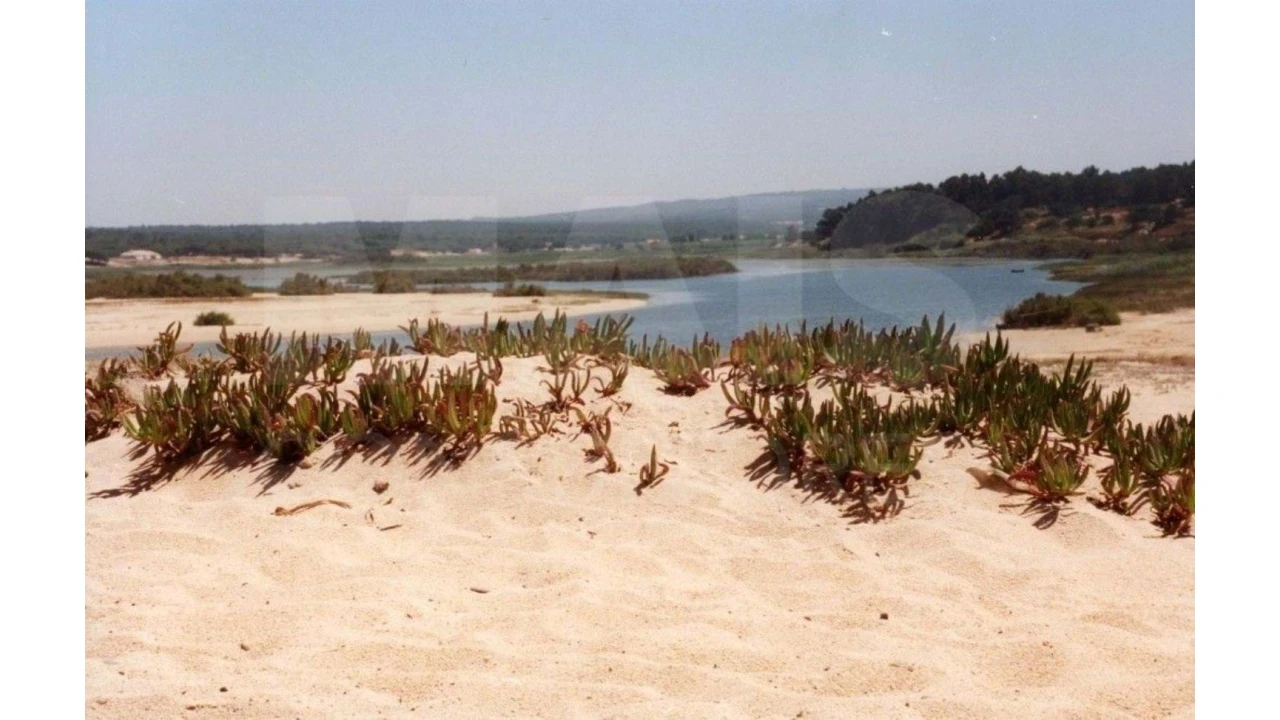 Terreno para Venda em Melides Foto 3
