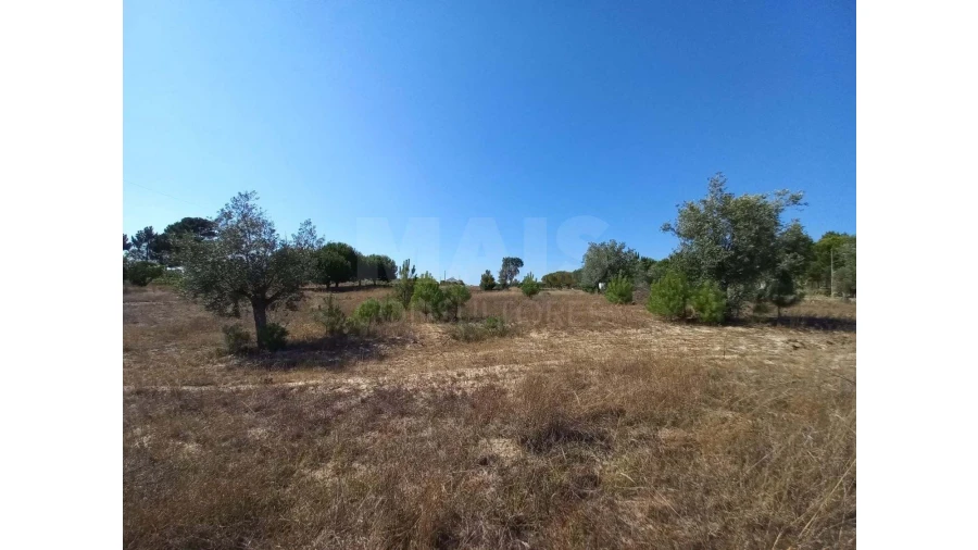 Terreno para Venda em Melides Foto 7