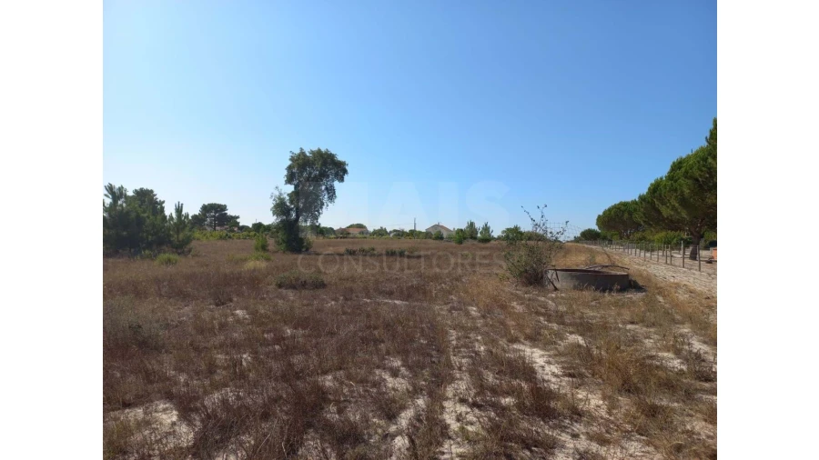 Terreno para Venda em Melides Foto 9