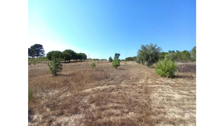 Terreno para Venda em Melides Foto 8