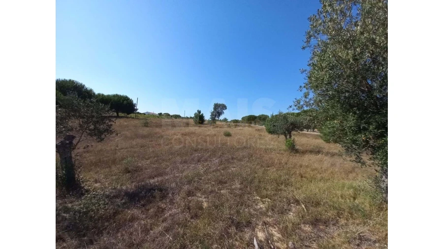 Terreno para Venda em Melides