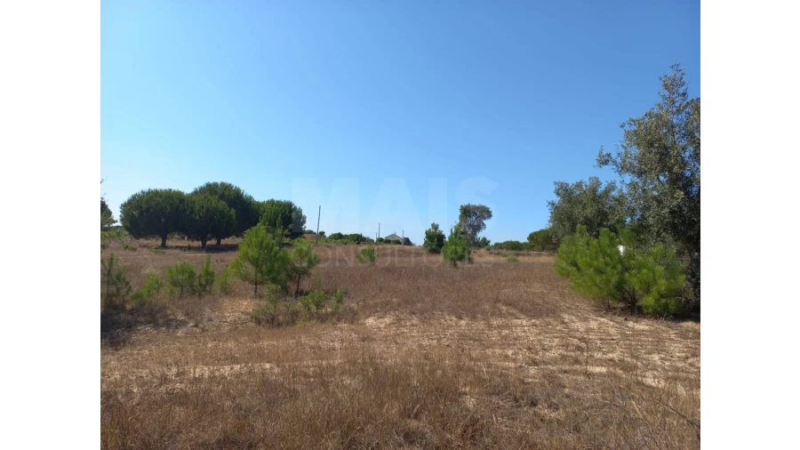 Terreno para Venda em Melides Foto 6