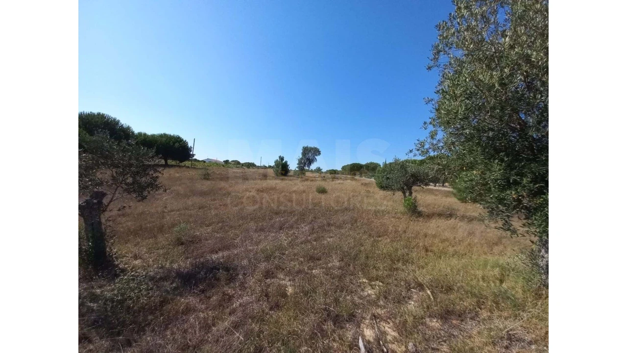 Terreno para Venda em Melides Foto 1