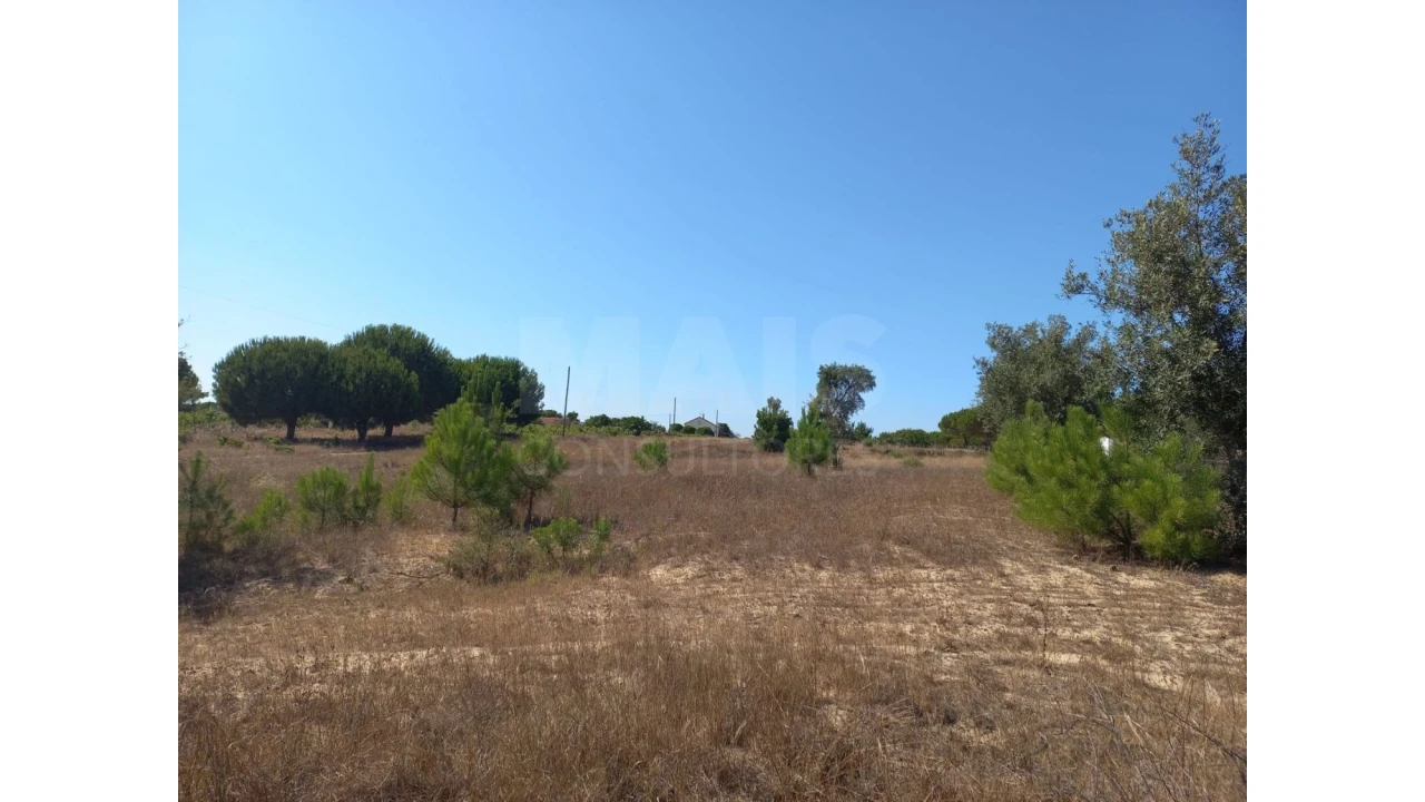 Terreno para Venda em Melides Foto 6