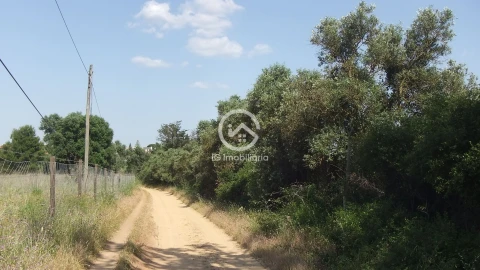 Quinta T6 para Venda em União das Freguesias de Setúbal