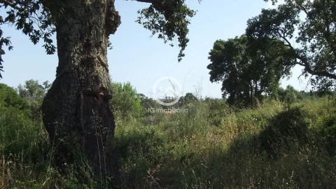 Quinta T6 para Venda em União das Freguesias de Setúbal