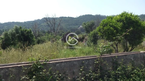 Quinta T6 para Venda em União das Freguesias de Setúbal