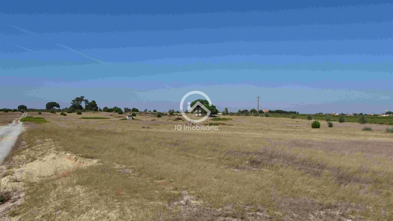 Terreno para Venda em Poceirão e Marateca Foto 9