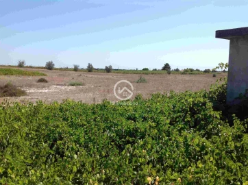 Terreno para Venda em Poceirão e Marateca