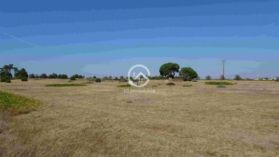 Terreno para Venda em Poceirão e Marateca Foto 22
