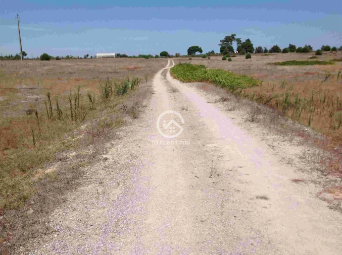 Terreno para Venda em Poceirão e Marateca Foto 8