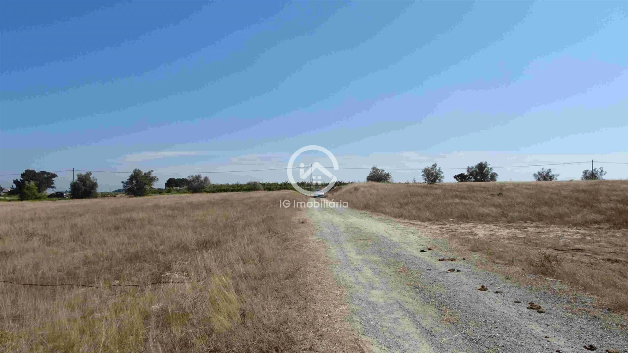 Terreno para Venda em Poceirão e Marateca Foto 20