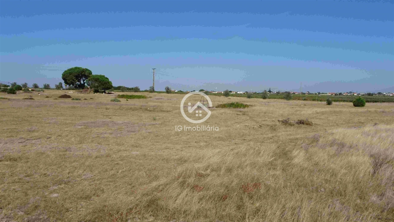 Terreno para Venda em Poceirão e Marateca Foto 19