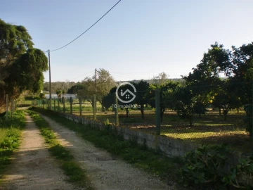 Moradia T6 para Venda em Palmela