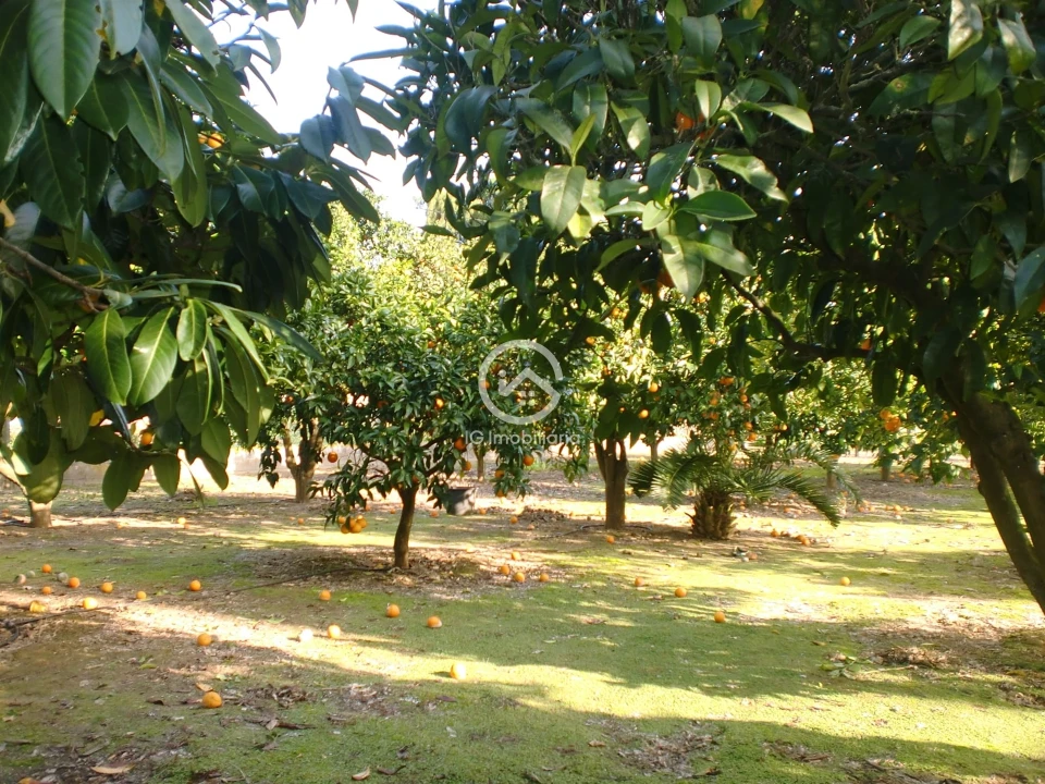 Moradia T6 para Venda em Palmela Foto 26