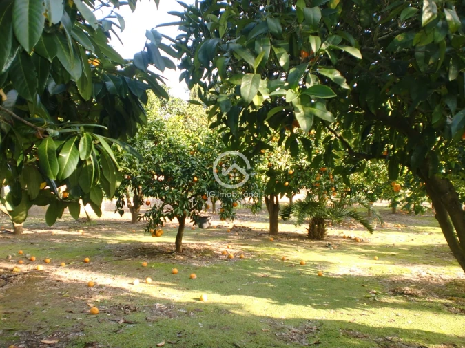 Moradia T6 para Venda em Palmela Foto 26