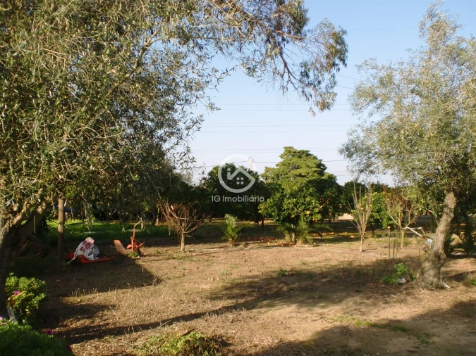 Moradia T6 para Venda em Palmela Foto 28