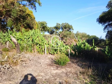 Terreno para Venda em Setubal (São Sebastião)