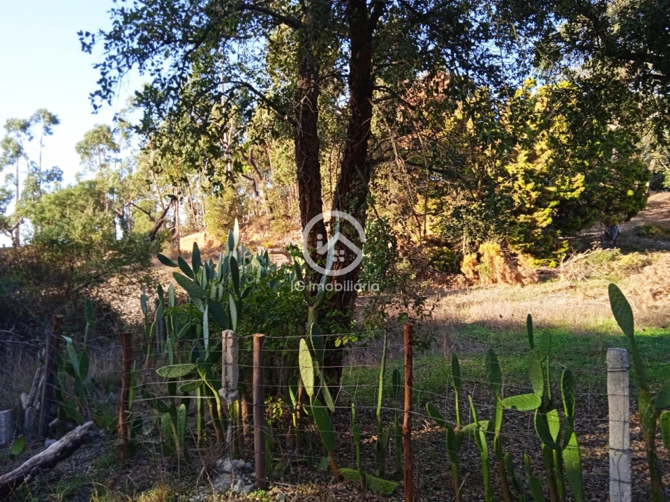 Terreno para Venda em Setubal (São Sebastião) Foto 6