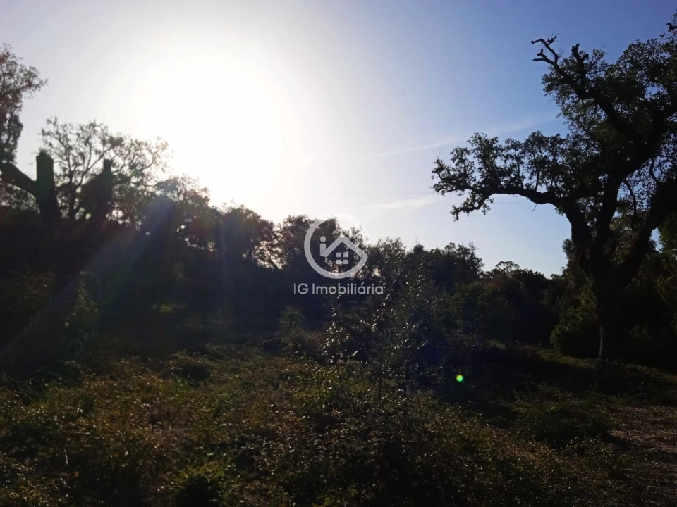 Terreno para Venda em Setubal (São Sebastião) Foto 3