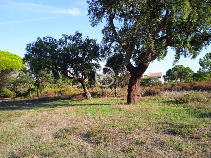 Terreno para Venda em Setubal (São Sebastião) Foto 18