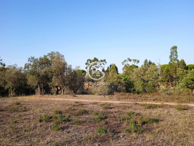 Terreno para Venda em Setubal (São Sebastião) Foto 20