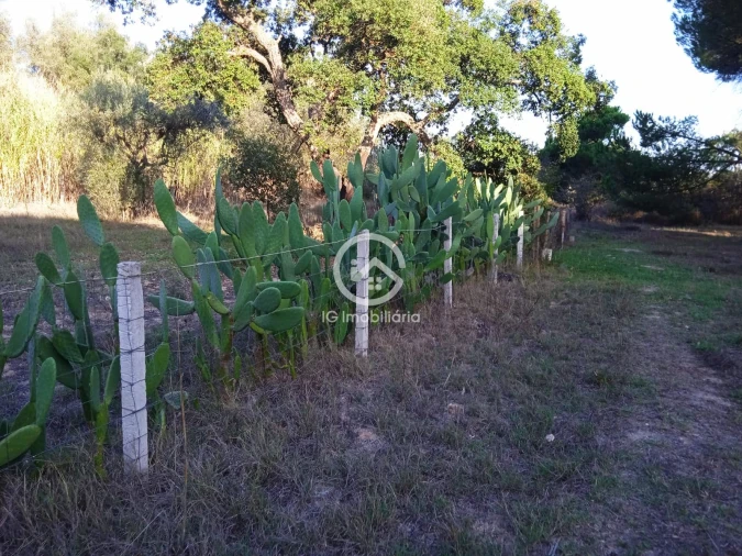 Terreno para Venda em Setubal (São Sebastião) Foto 10