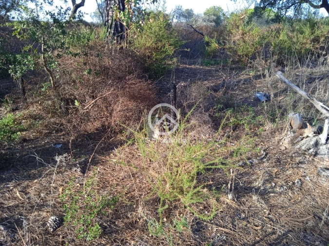 Terreno para Venda em Setubal (São Sebastião) Foto 2