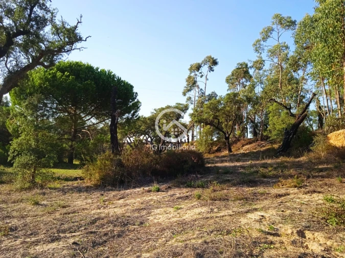Terreno para Venda em Setubal (São Sebastião) Foto 5