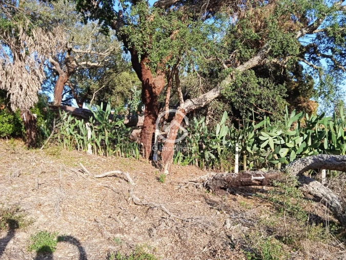 Terreno para Venda em Setubal (São Sebastião)